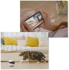 Enabot Ebo SE Moving Home Security Camera Interactive Pet Robot from Japan Track