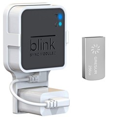 256GB USB Flash Drive for Local Video Storage with The Blink Sync Module 2 Mo…
