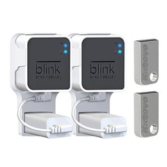 256GB USB Flash Drive & Outlet Wall Mount for Blink Sync Module 2 with Short …