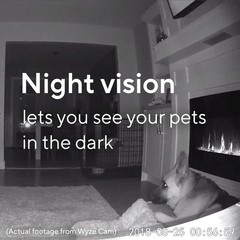 Wyze Cam V2 1080P Indoor WiFI Smart Home Camera Black with 32GB microSDHC Card