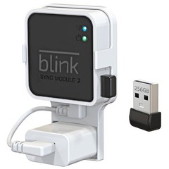 256GB Blink USB Flash Drive, with Outlet Wall Mount for Sync Module, Space-Savi
