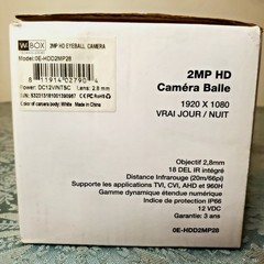 W box eyeball camera 2mp HD 1920 x1080 30 fps true day/night