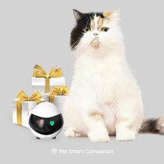 SE Familybot Home Camera Robot: 1080P Movable Pet Camera Indoor, Battery-Operate