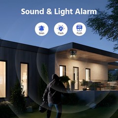 ANNKE 8CH NVR 4K POE 180° Dual Lens Security Camera System Color Two Way Audio